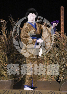 【3月】加賀見山再岩藤