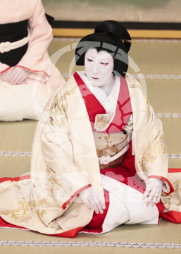 【3月】加賀見山再岩藤