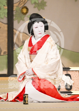 【3月】加賀見山再岩藤