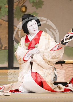 【3月】加賀見山再岩藤