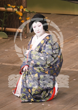 【3月】加賀見山再岩藤