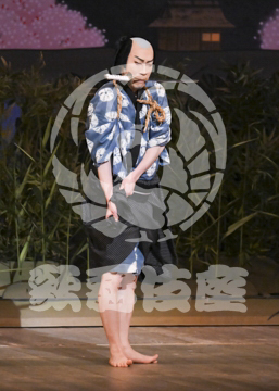 【3月】加賀見山再岩藤