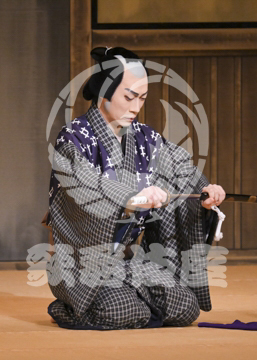 【3月】加賀見山再岩藤