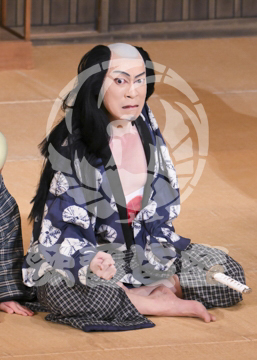 【3月】加賀見山再岩藤