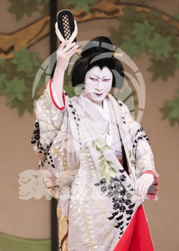 【3月】加賀見山再岩藤