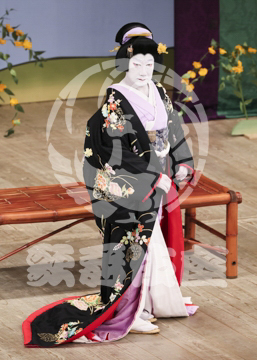 【3月】加賀見山再岩藤