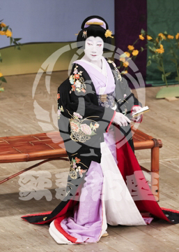 【3月】加賀見山再岩藤