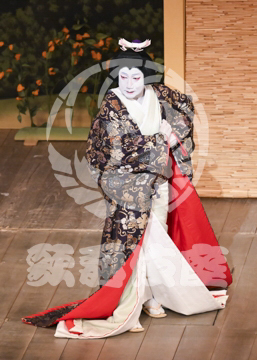 【3月】加賀見山再岩藤