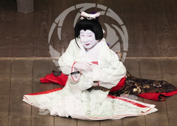 【3月】加賀見山再岩藤