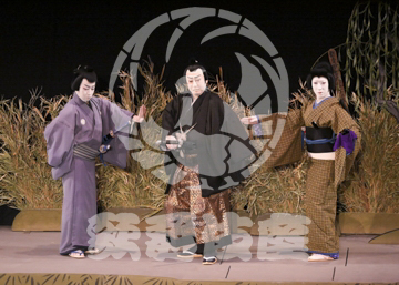 【3月】加賀見山再岩藤