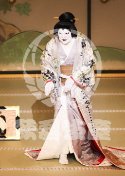 【3月】加賀見山再岩藤