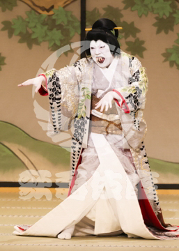 【3月】加賀見山再岩藤