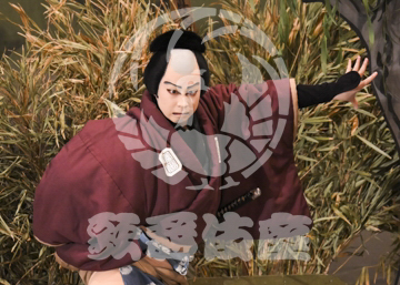 【3月】加賀見山再岩藤