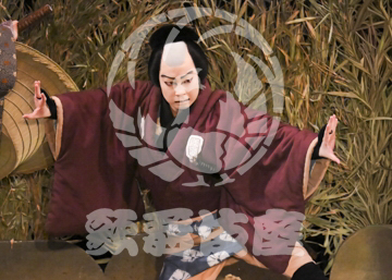 【3月】加賀見山再岩藤