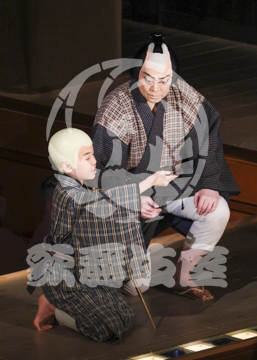 【3月】加賀見山再岩藤