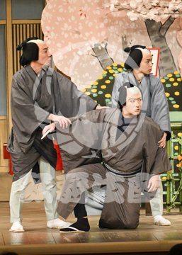 【4月】浮かれ心中