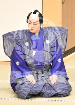 【4月】裏表先代萩