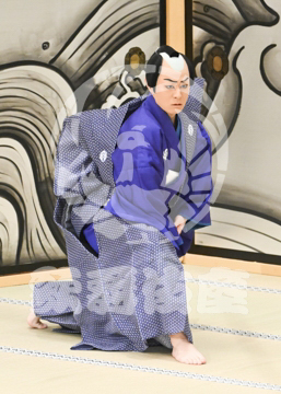 【4月】裏表先代萩