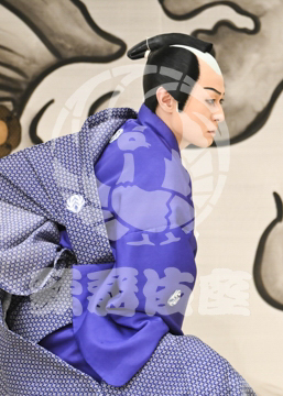 【4月】裏表先代萩