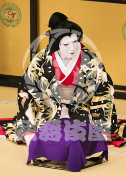 【4月】裏表先代萩
