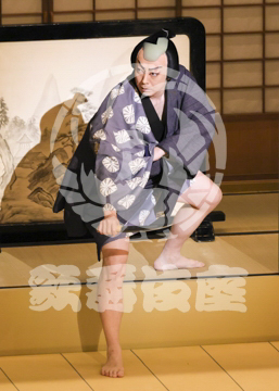 【4月】裏表先代萩