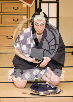 【4月】裏表先代萩
