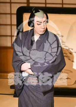 【4月】裏表先代萩