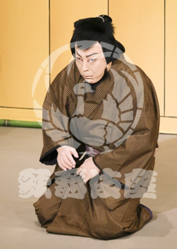 【4月】裏表先代萩