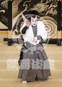 【4月】裏表先代萩