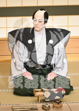 【4月】裏表先代萩