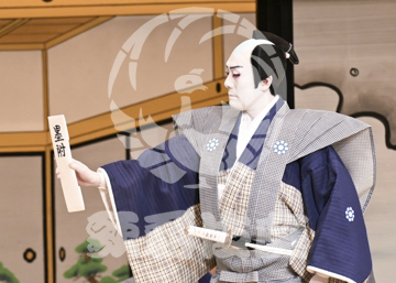 【4月】裏表先代萩