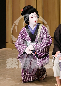 【4月】裏表先代萩