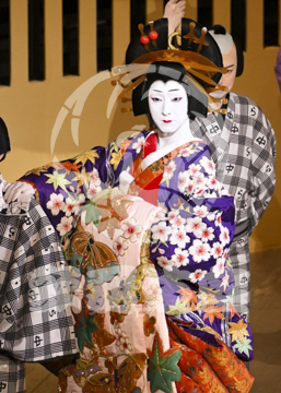 【4月】浮かれ心中
