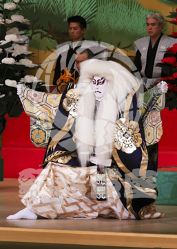 【4月】連獅子
