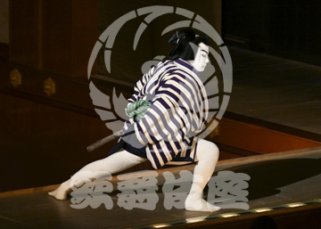 【4月】裏表先代萩