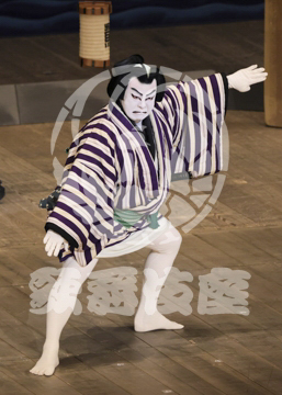 【4月】裏表先代萩