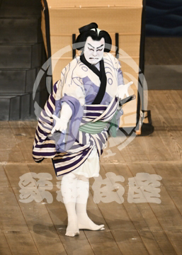 【4月】裏表先代萩