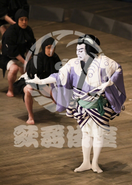 【4月】裏表先代萩