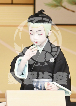 【4月】裏表先代萩