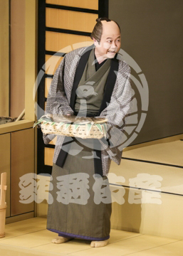 【4月】裏表先代萩
