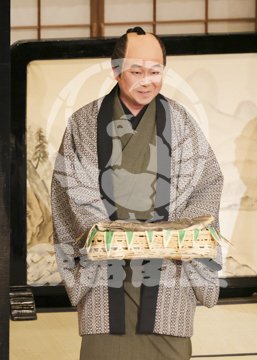 【4月】裏表先代萩