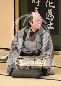 【4月】裏表先代萩