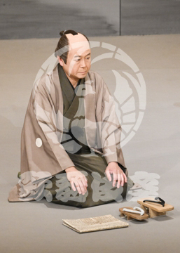 【4月】裏表先代萩