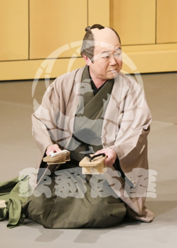 【4月】裏表先代萩