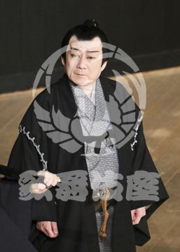【4月】裏表先代萩