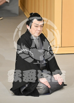 【4月】裏表先代萩