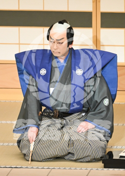 【4月】裏表先代萩