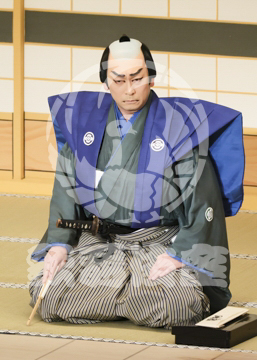 【4月】裏表先代萩