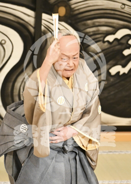 【4月】裏表先代萩