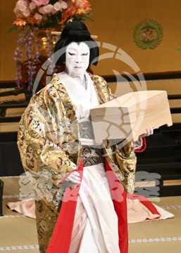【4月】裏表先代萩